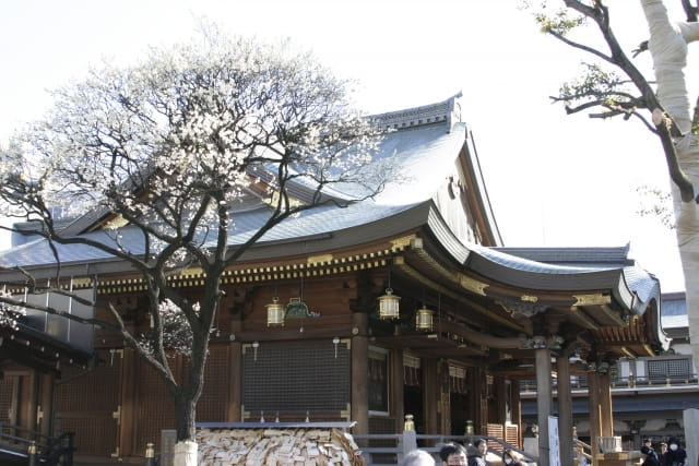 Ueno tourist information | 4 spots to visit in Ueno 04