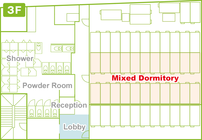 Mixed dormitory - room with television and computer